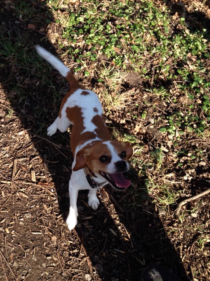 Bild 2014-03-01.jpeg