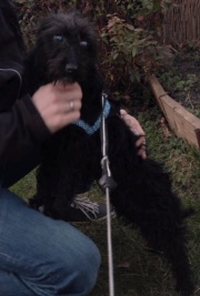 Frida- Lara II 180.jpg