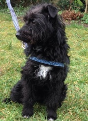 Frida -Lara -180.jpg