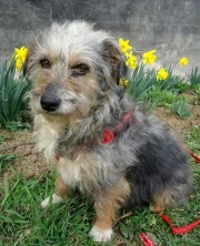 Mina23.03.2014 - 180.jpg