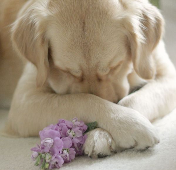 Herzlichen Glueckwunsch.jpg