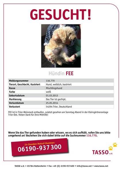 Suchplakat Fee.jpg