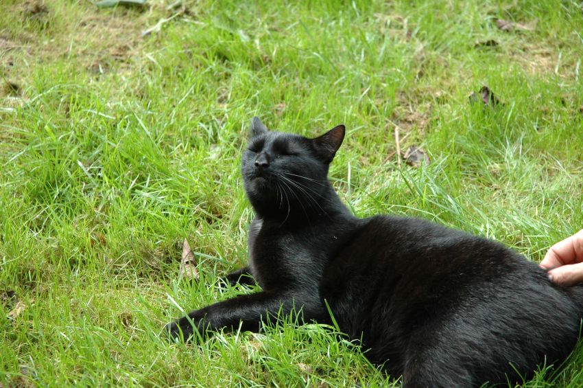 Zeit zum chillen bleibt aber auch......jpg