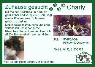 inl8mj5e3b_flyercharly klein.jpg