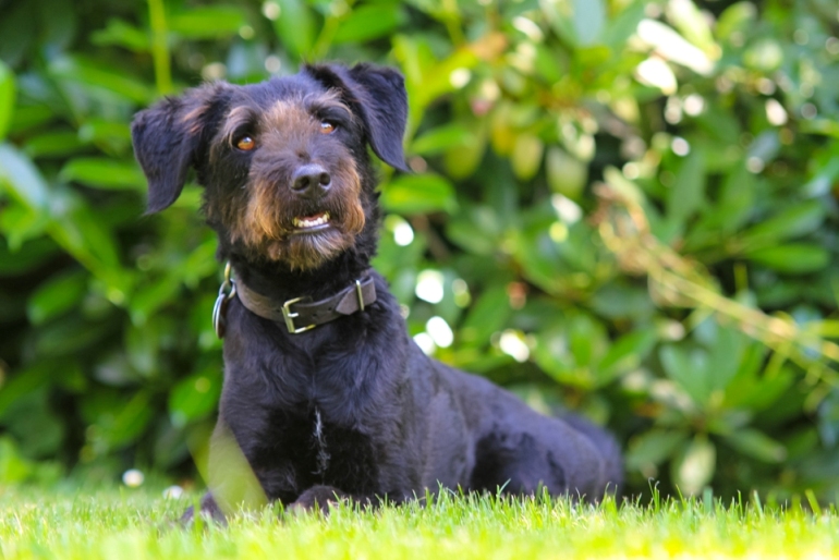 Cimbo_Aug_2013 (40 von 44).jpg