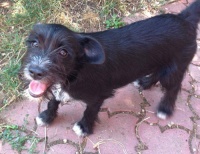 Bibi Blocksberg 200.jpg