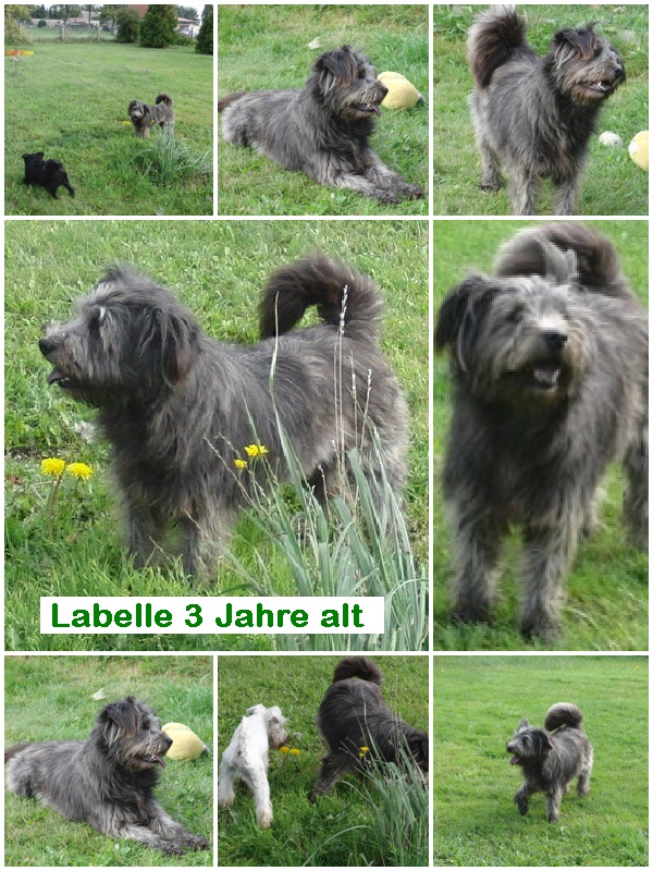 Labelle Postkarte.jpg