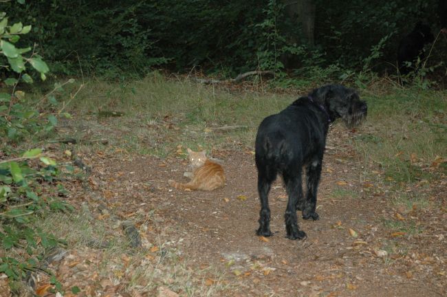 .....wie lange dauert das denn noch mit den Pilzen.JPG