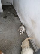 Mädchen_4 Monate_P.jpg