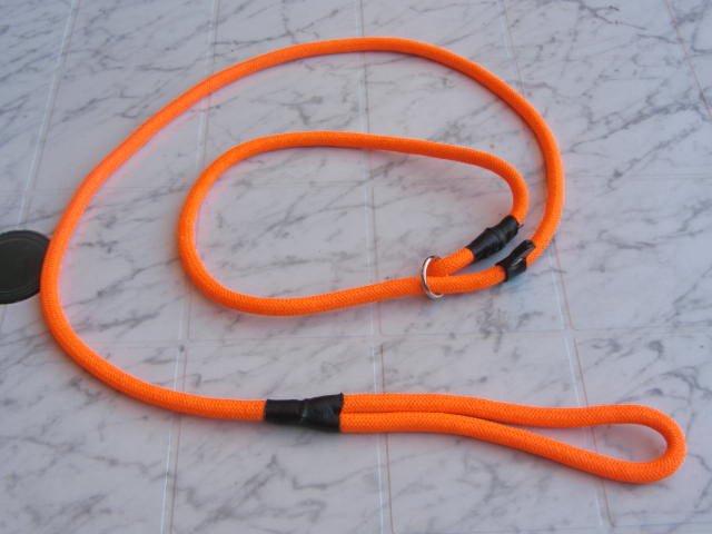 retrieverleine orange.jpg