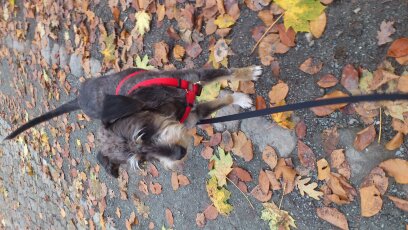 gesammelte Werke 102.jpg