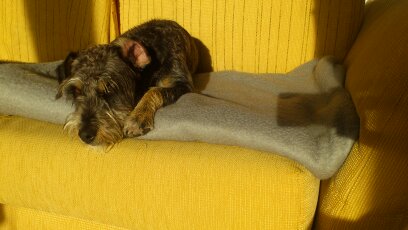 gesammelte Werke 085.jpg