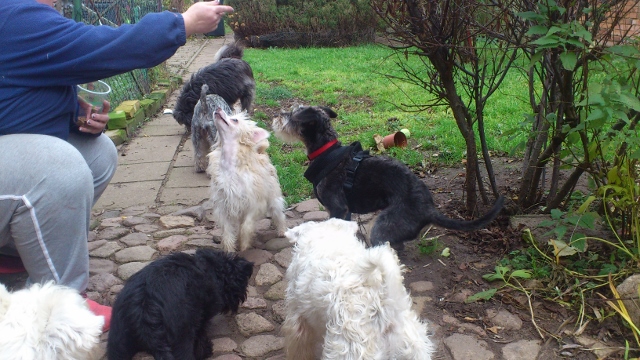 pico 060 (640x360).jpg