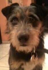 2013-12-14 20.12.16-1.jpg