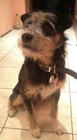 2013-12-14 20.12.09-1.jpg