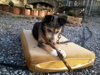 tmp_2013-12-23 12.05.38-2075584813.jpg