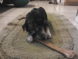 tmp_2013-12-25 14.15.31-1754472021.jpg