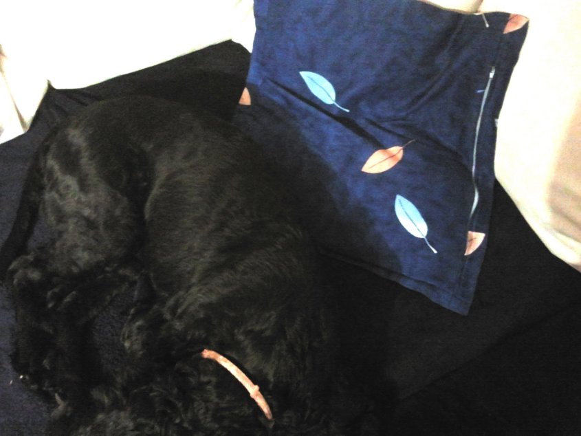 2014-01-02 16.25.03.jpg