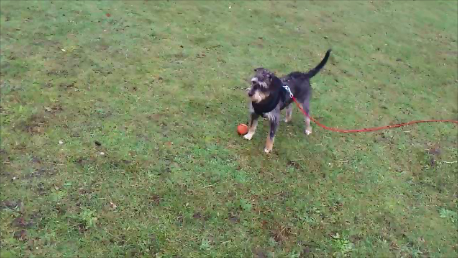 Momentaufnahme 1 (13.01.2014 23-10).png