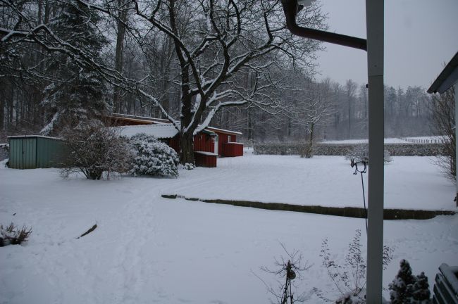 Blick aus Haustür.jpg