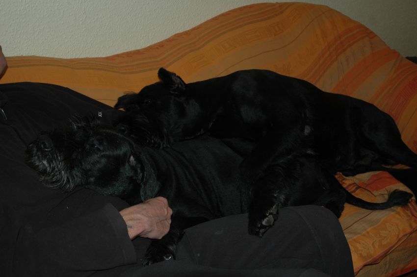 Platz ist überall.jpg