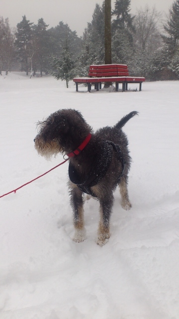 jan_2014 936 (360x640).jpg