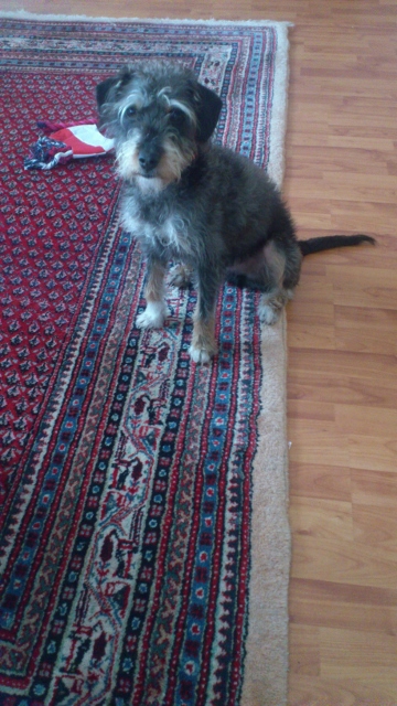 jan_2014 926 (360x640).jpg