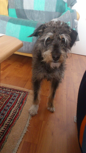 jan_2014 925 (360x640).jpg