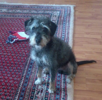 jan_2014 926 (360x640).jpg