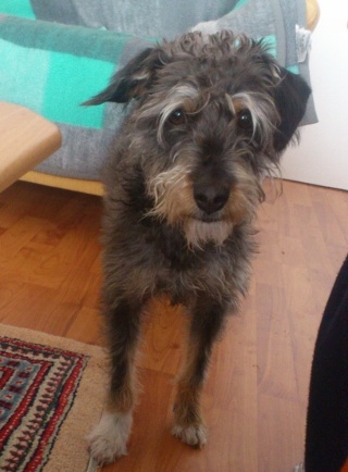 jan_2014 925 (360x640).jpg