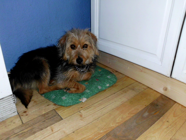 Raja, Toti, Justus u. Konstantin 134.JPG