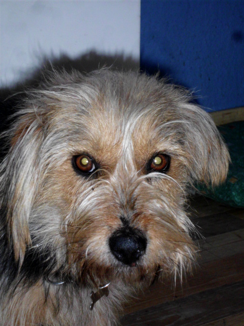 Raja, Toti, Justus u. Konstantin 003.JPG